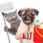 Naturally Rid Your Dog And House From Fleas