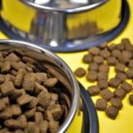 Keep Cat Healthy With Top Quality Tick & Flea Control Products From Hartz